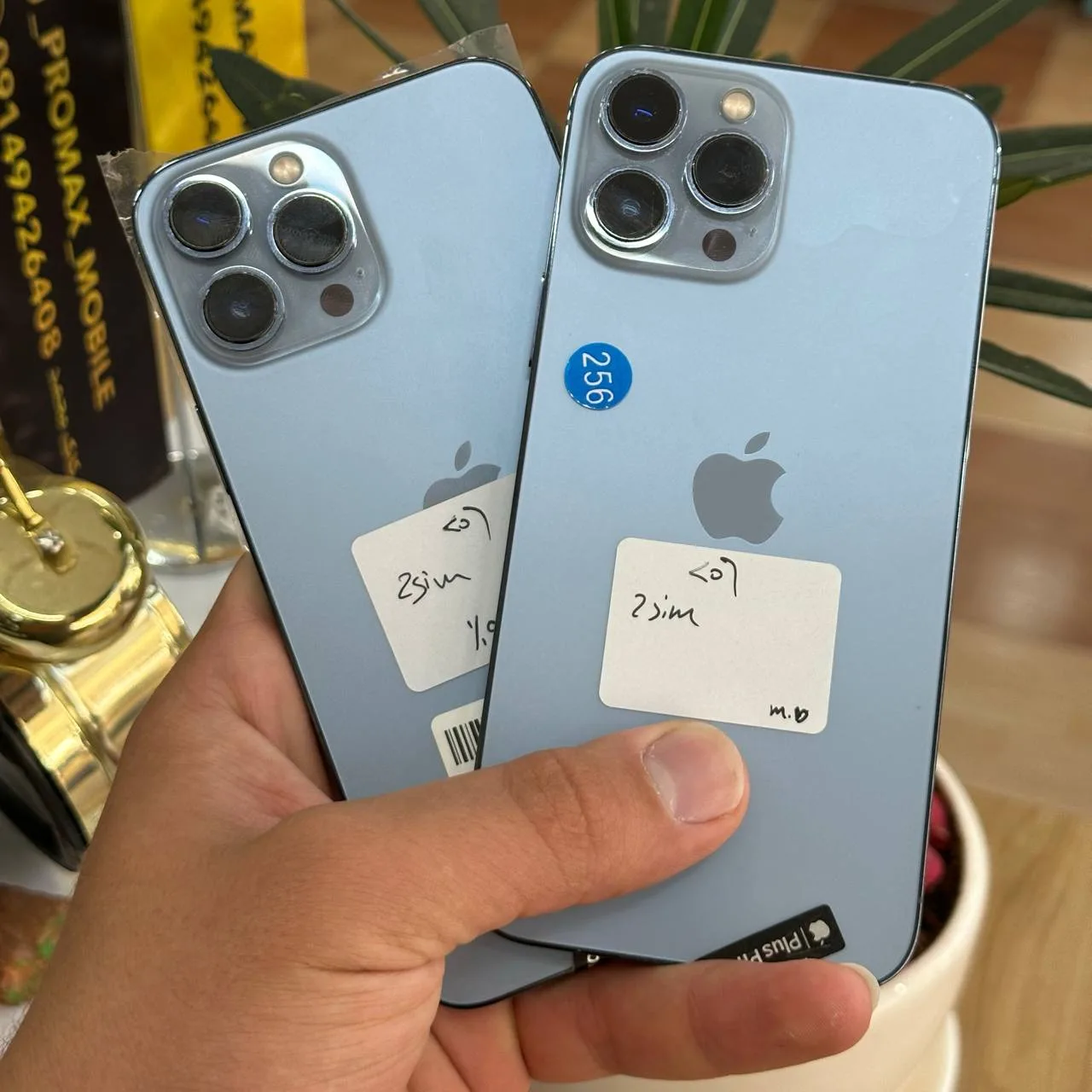 گوشی موبایل اپل مدل iPhone 13 Pro Max ظرفیت 256 گیگابایت (کارکرده در حد نو - دو سیمکارت CH/A - بدون رجیستر - جعبه ریپک) - تصویر 5