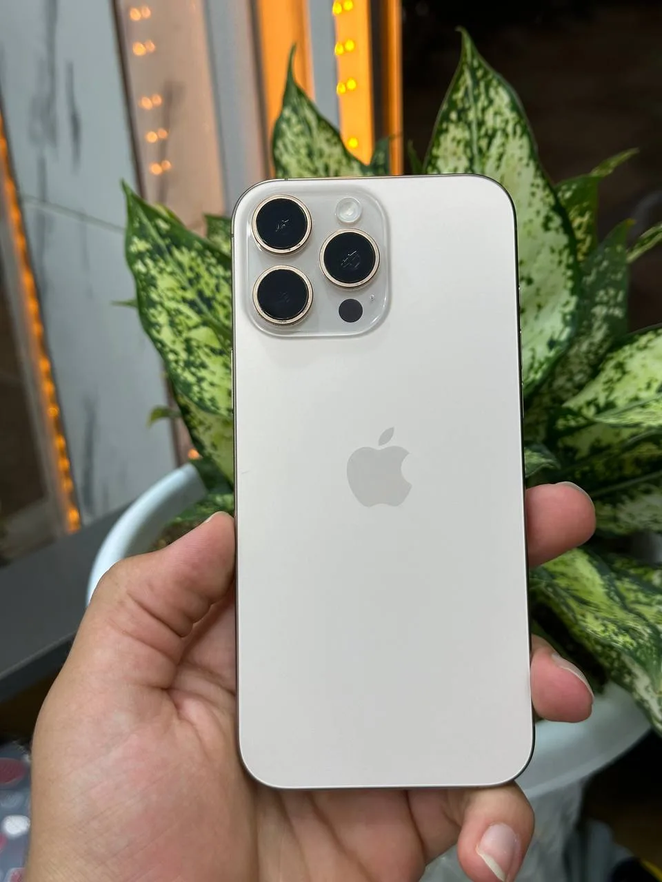 گوشی موبایل اپل مدل iPhone 16 Pro Max ظرفیت 256 گیگابایت رنگ دیزرت تیتانیوم (کارکرده در حد نو - دو سیمکارت - پک اصلی - رجیستر شده) - تصویر 5